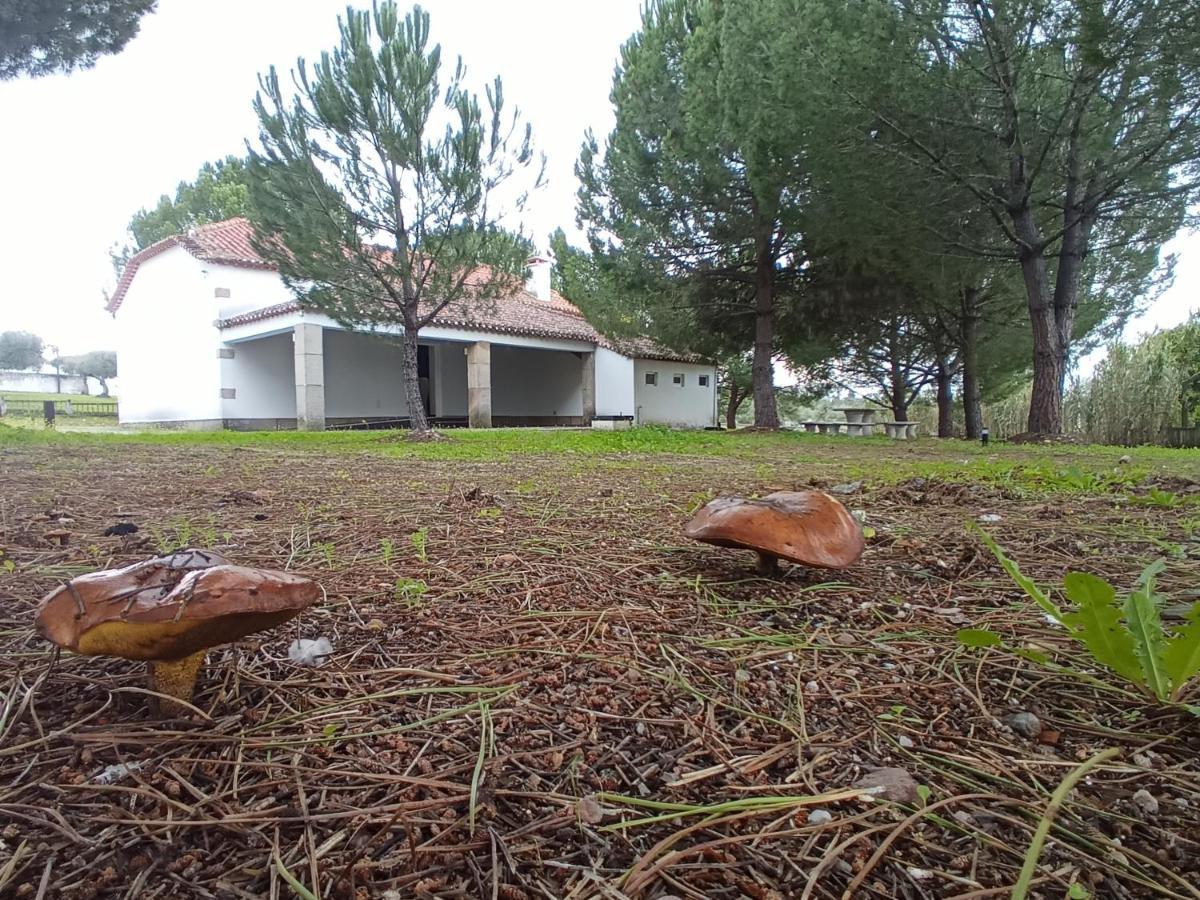 Casa De Perais Villa ภายนอก รูปภาพ